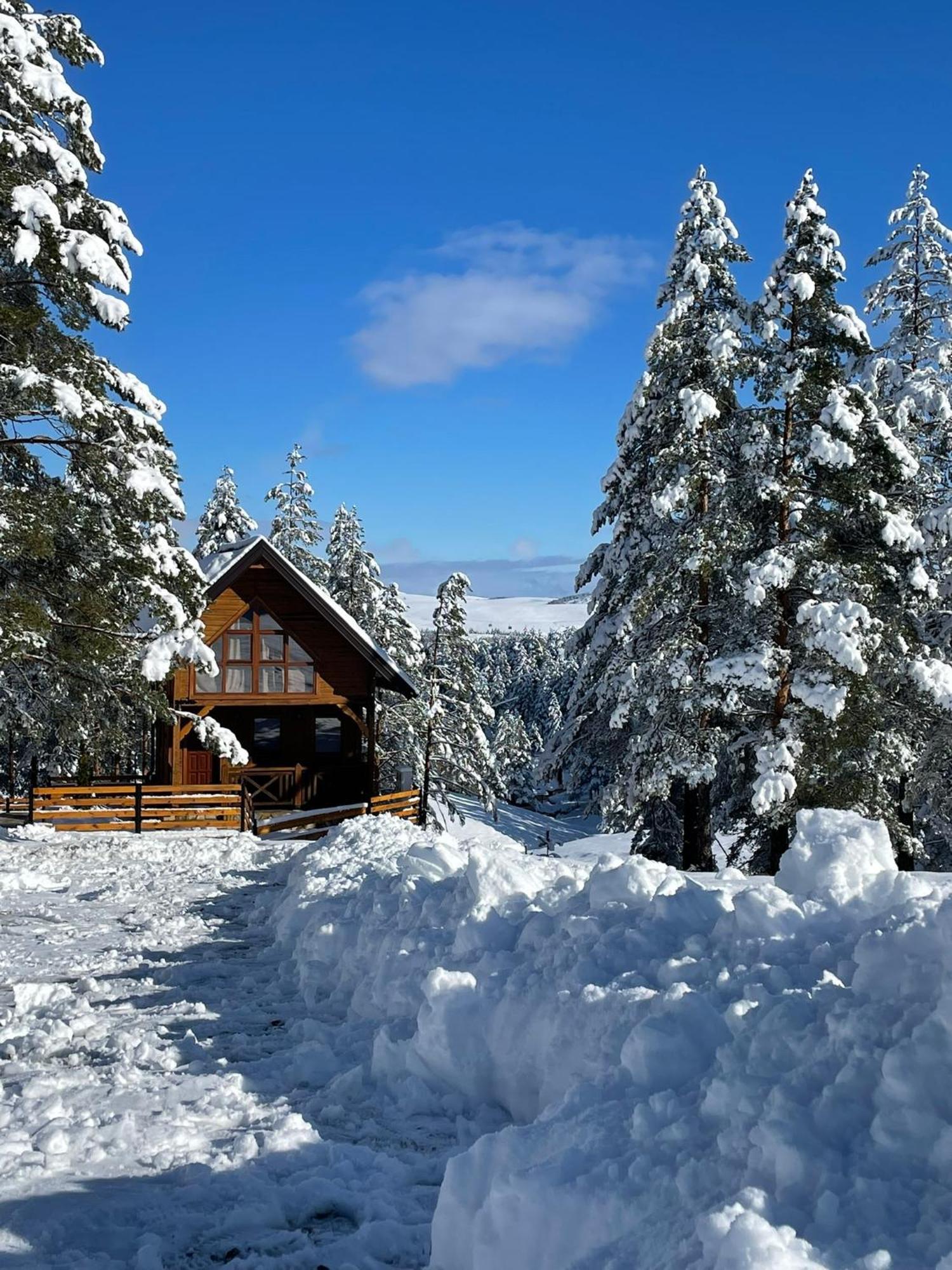 Pino House Zlatibor-tornik Holiday home *